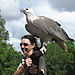 Huge_bird2