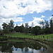 Lone_pine_sanctuary