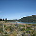 Lake_tekapo7