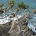 Noosa_beach5