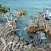 Noosa_beach3