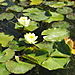 Mission_fountain