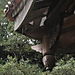 Taiwan_pavilion_detail