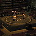 Tokyo_sumo1