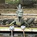 Nara_park_fountain2