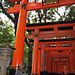 Inari9