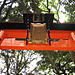 Inari10