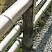 Kinkakuji_temple3