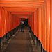 Inari5