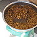 Market3_boiled_larvae