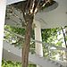 Pedestrian_walkway