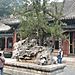 Summer_palace2