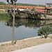 River_boats