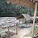 River_huts
