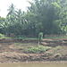 Nam_khan_vegetable_fields