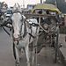 Horse_drawn_cart