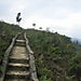 Cat_cat_village5