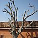Jaighar_fort1