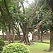 Temple_of_literature2