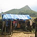 Cat_cat_village2