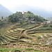 Cat_cat_village1