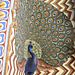 City_palace3