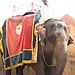 Amber_fort_elephant