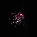 Happy_new_year2