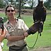 Huge_bird3