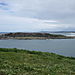 Muttonbird_island1