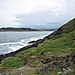Muttonbird_island3