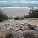 Rainbow_beach3