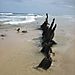 Maheno_shipwreck8