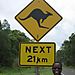 Kangaroo_crossing