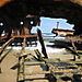 Maheno_shipwreck7