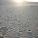 Sandy_sunset