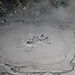 Boiling_mud