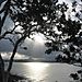 Noosa_sunset