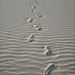Footprints