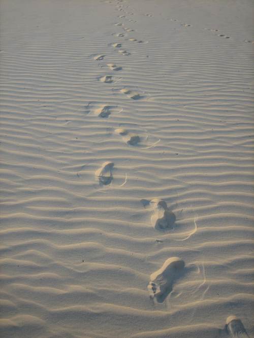 Footprints