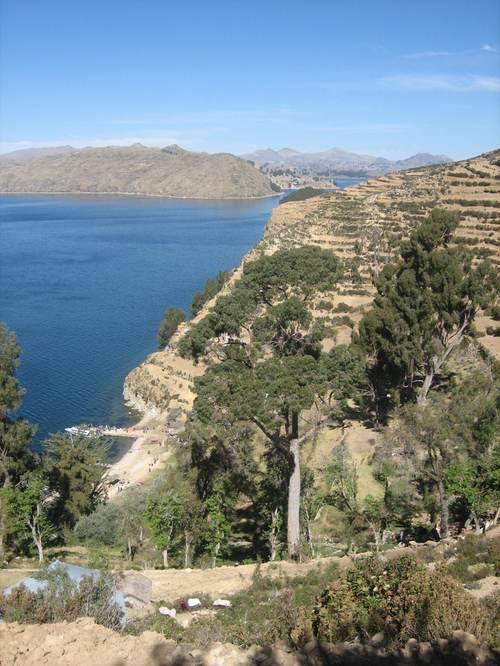 View_from_up_high