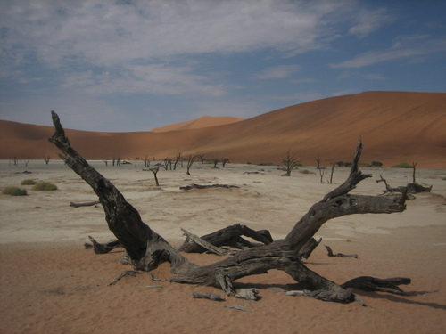 Deadvlei2