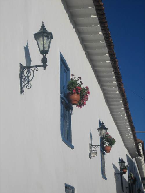 Flower_pots