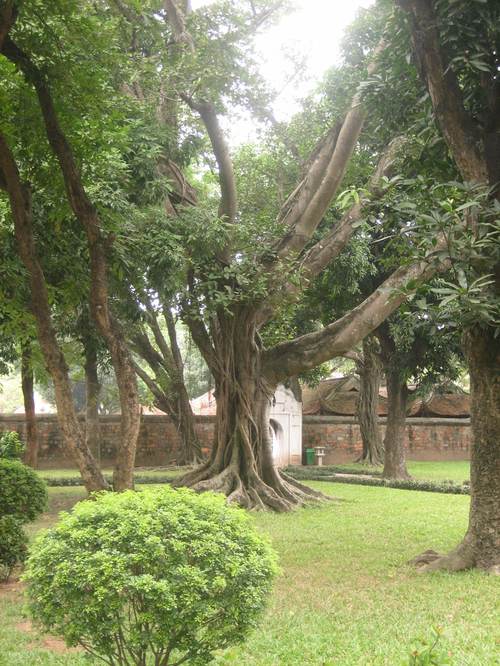 Temple_of_literature2