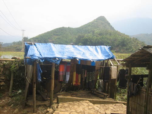 Cat_cat_village2
