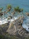Noosa_beach5